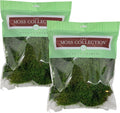 Preserved Sheet Moss - Premium Decorative Moss for Crafts, Home Décor, Art, Design & DIY Projects - Real Moss- Non-Toxic - USA-Made- (2-Pack Medium, Green)