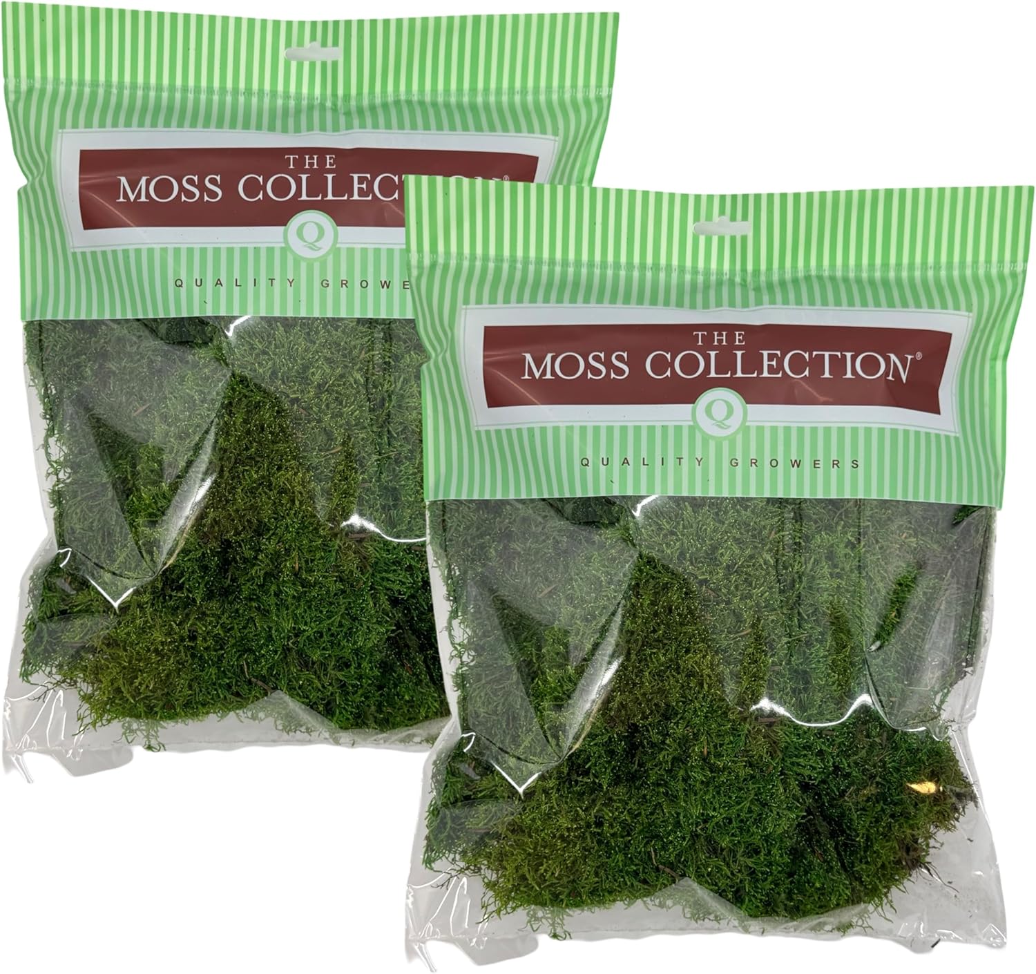Preserved Sheet Moss - Premium Decorative Moss for Crafts, Home Décor, Art, Design & DIY Projects - Real Moss- Non-Toxic - USA-Made- (2-Pack Medium, Green)