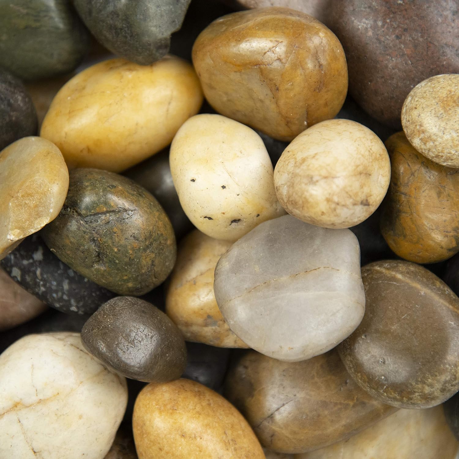 MSI Decorative Polished Mixed Pebbles, 1.2 inch - 2 inch, 40 lb. Bag