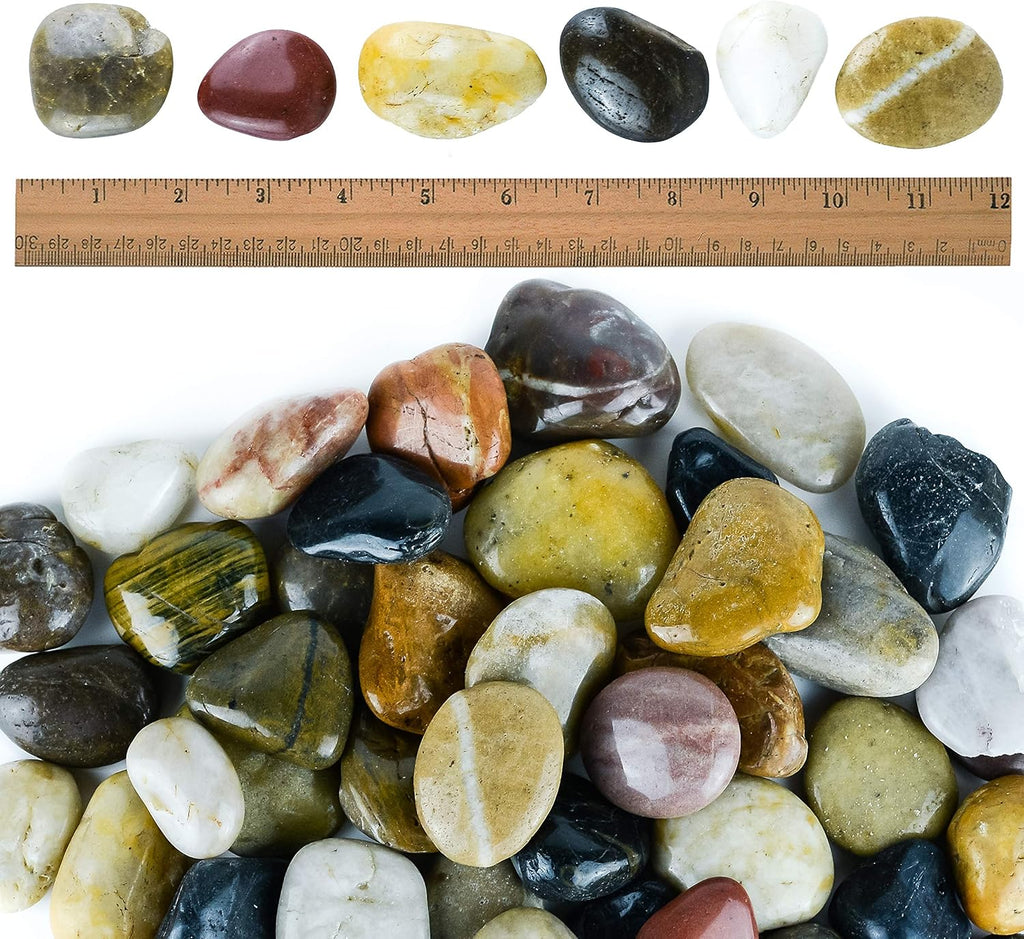 2 lbs Approx. 15 River Rocks Stones for Plants Pebbles for Indoor Plants | Aquarium Fish Tank Rocks | Polished Decorative Rocks for Vases (2-3 Inches)