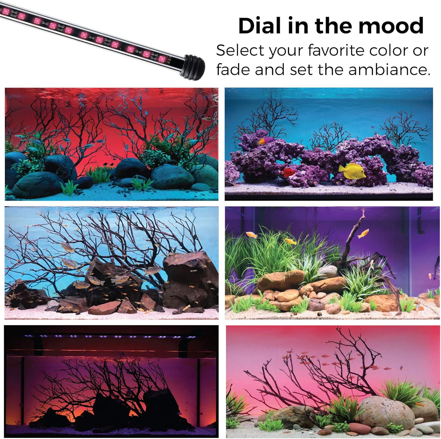 CURRENT USA 72" Serene Aquarium LED Background Light Kit | Fish Tank Lighting Backdrop Decoration Black 3D 125, 150, 180 Gallon Tank (3154)
