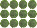 12pcs Moss Balls Decorative Faux Green Dried Artificial Moss Balls for Centerpiece Bowls for Home Garden Wedding Party Decor (2"-Set of 12)