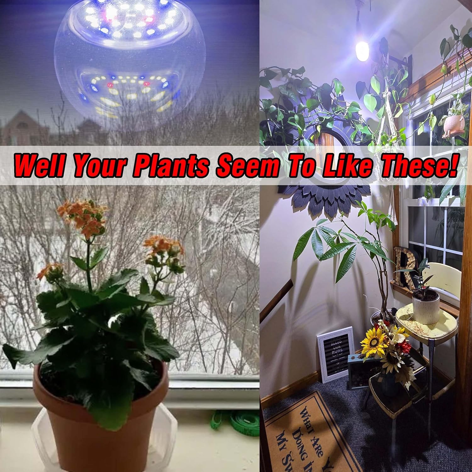E12 Candelabra Small Base Grow Light Bulbs for Indoor Plants Full Spectrum 9W Grow Lamp 100W Replace with Blue Red 5000K LEDs for Seeds and Greens,Laboratory,Greenhouse,Garden,DIY Horticulture, 3 Pack