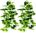 AirSun Artificial Morning Glory Flower Vines, 2pcs 15Feet Hanging Plants Silk Garland Fake Green Plant Home Garden Wall Fence Indoor Outdoor Wedding Birthday Decor