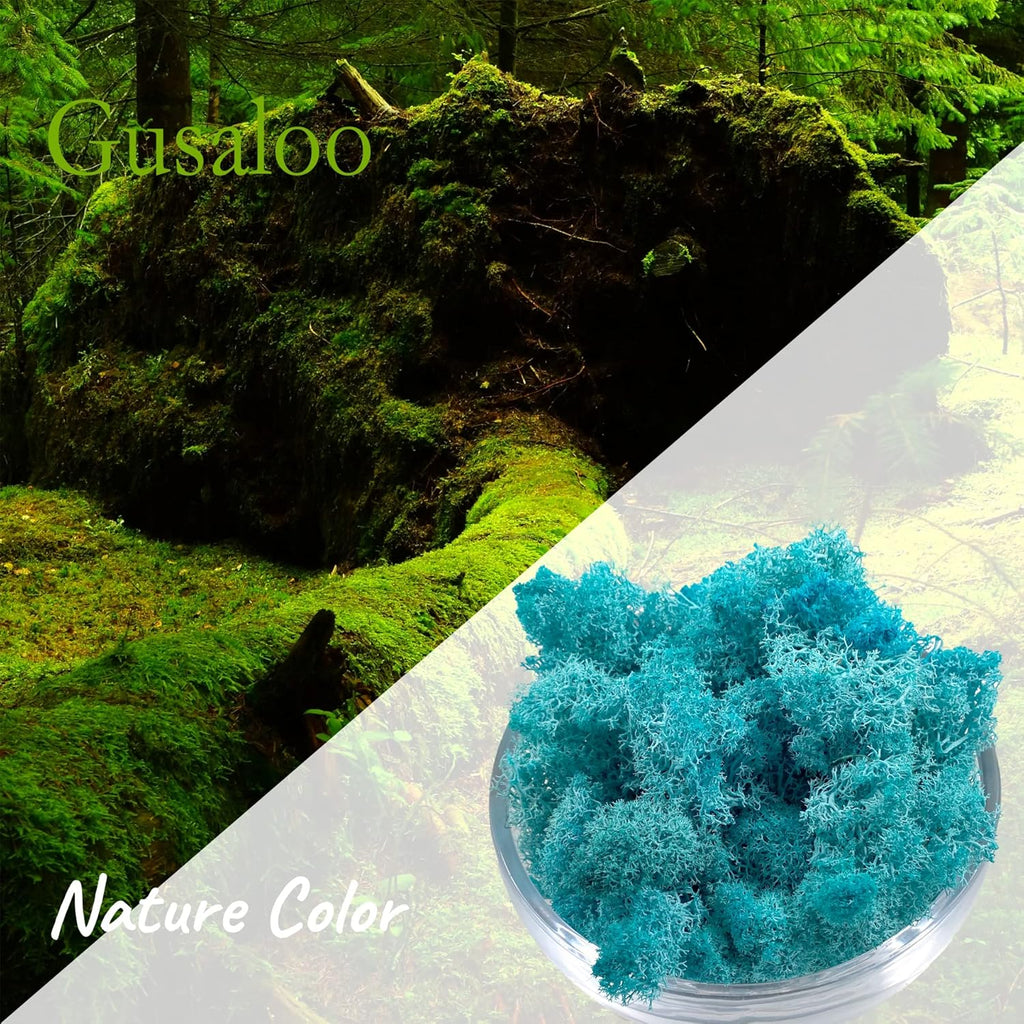 Moss Preserved Moss Natural Fresh Green Moss for Craft Arts Floral Project Wall Decor Table Decor Wedding Centerpieces Garden Artificial Terrariums Decoration -Water Blue 3.5OZ