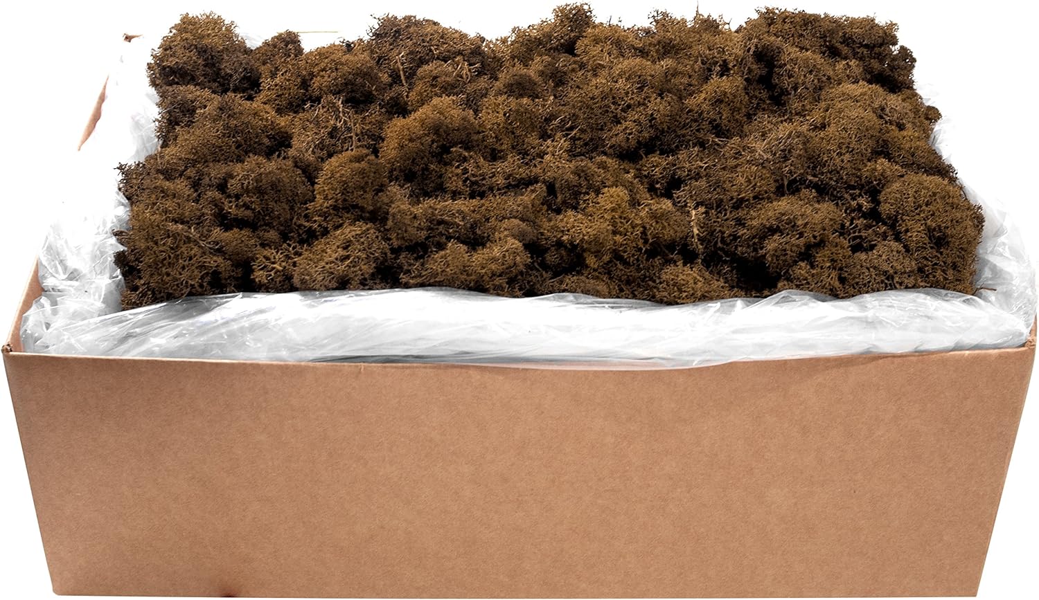 SuperMoss (23096) Reindeer Moss – Soft Preserved Moss for Home Decor, Crafts, Terrariums, Floral Design, and Wedding Decorations, 2,588 cu in, Brown