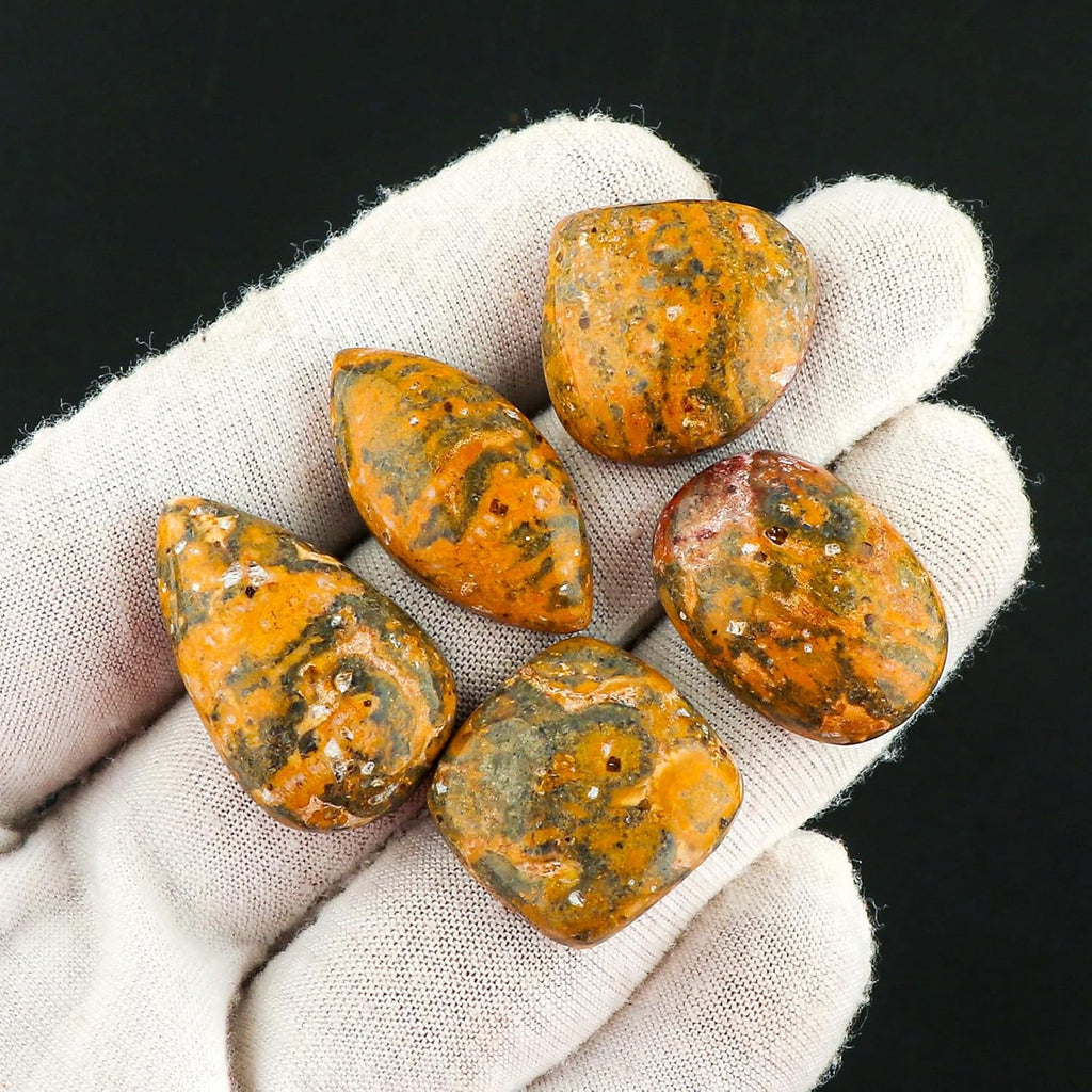 CRYSTALIS 5pcs Natural Leopard-Skin-Jasper Loose Gemstone Wholesale Bulk Cabochons Jewelry Making Supply, Chakra Healing Polished Stones, Wire Wrapping, DIY, Gem Collection, Mix-Shape