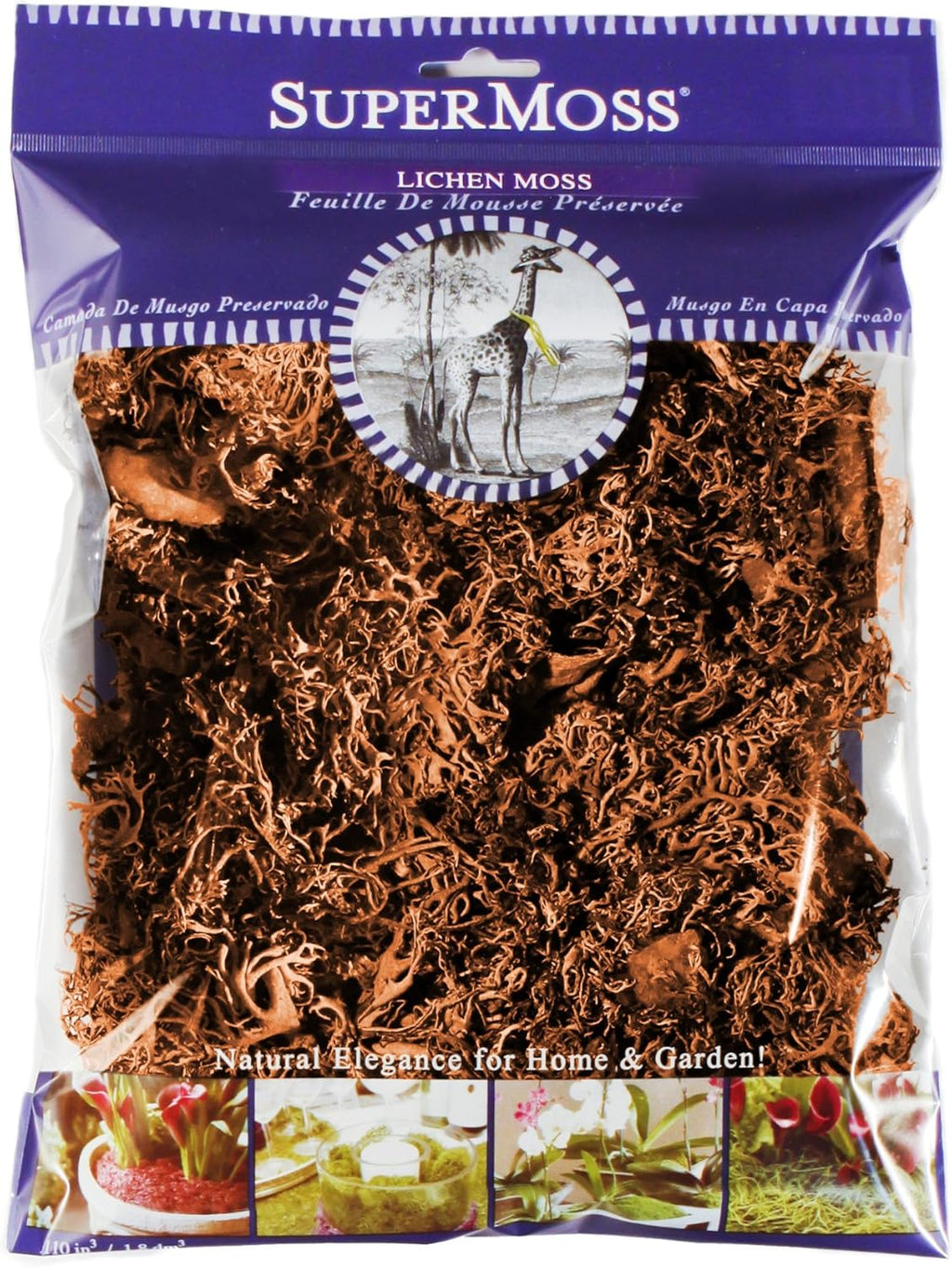 SuperMoss (23534 Branched Lichen Parmelia – Natural Preserved Lichen Branches for Floral Arrangements, Home Decor, and Terrariums, 175 cu. in., Orange