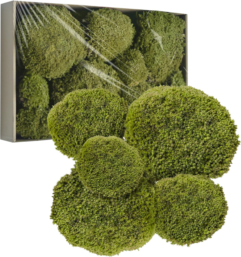 TurelinnG Preserved Moss Decor - Real Forest Moss, Moss for Crafts, Flexible for DIY Crafts, Home, Wall, Terrarium, Art Projects(Yellow Green 2 sq.ft)