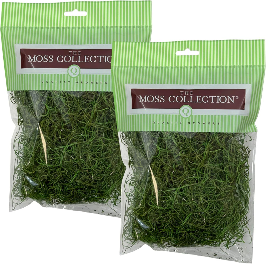 Preserved Spanish Moss - Premium Decorative Moss for Crafts, Home Décor, Art, Design & DIY Projects - Real Moss - Non-Toxic, USA-Made (Green Apple, Small, 2-Pack)