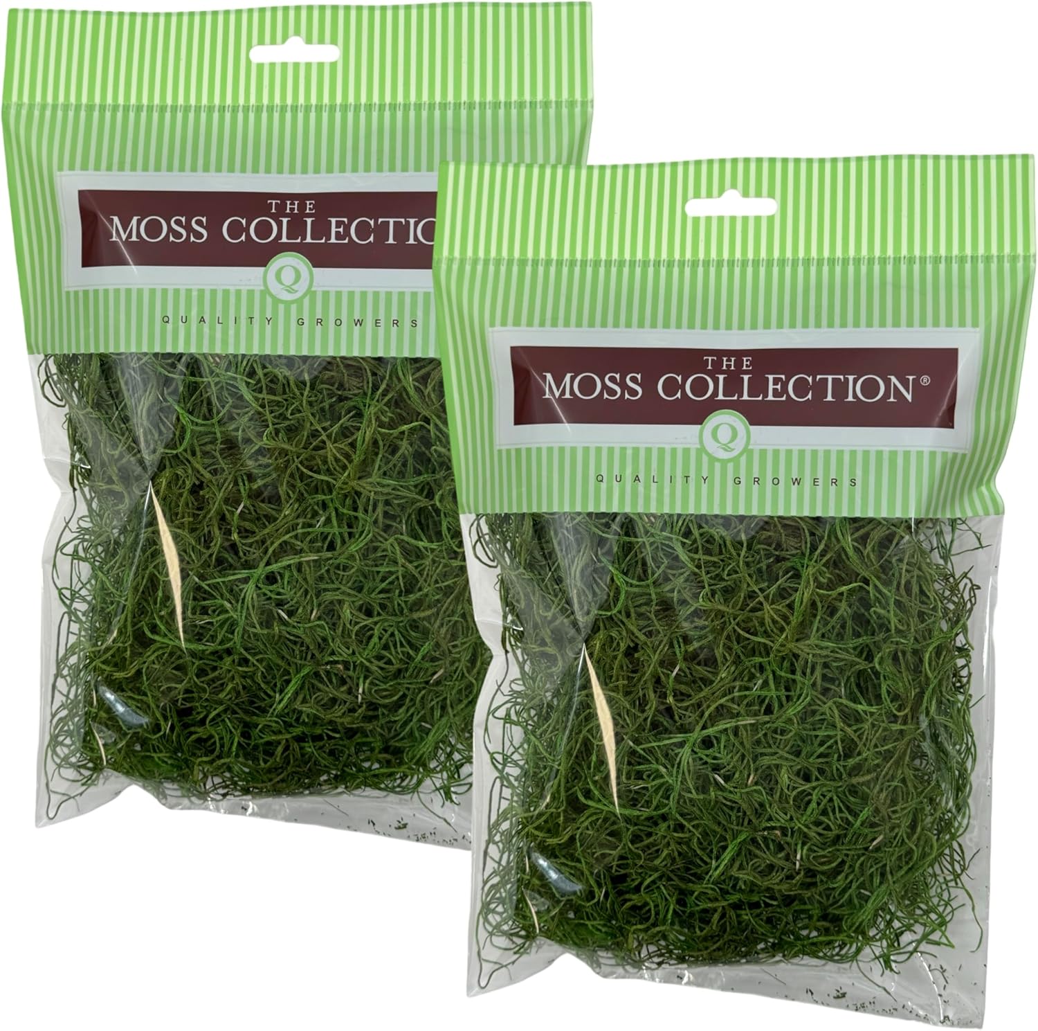 Preserved Spanish Moss - Premium Decorative Moss for Crafts, Home Décor, Art, Design & DIY Projects - Real Moss - Non-Toxic, USA-Made (Green Apple, Small, 2-Pack)