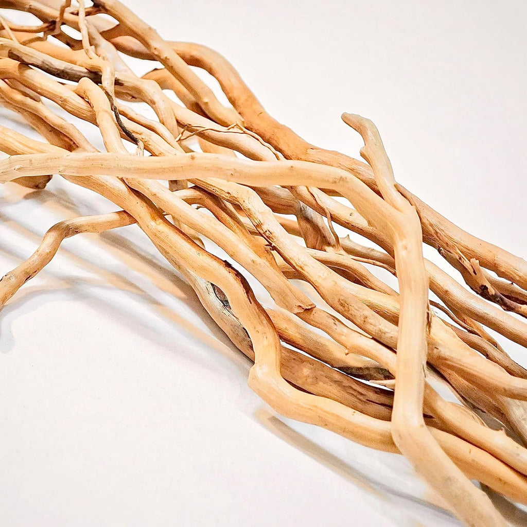 Azil Natural Aquarium Driftwood Root – Driftwood for Aquarium Decor, 250g (10″–15''), Fish Tanks, Terrariums, Aquascaping & Planted Tanks