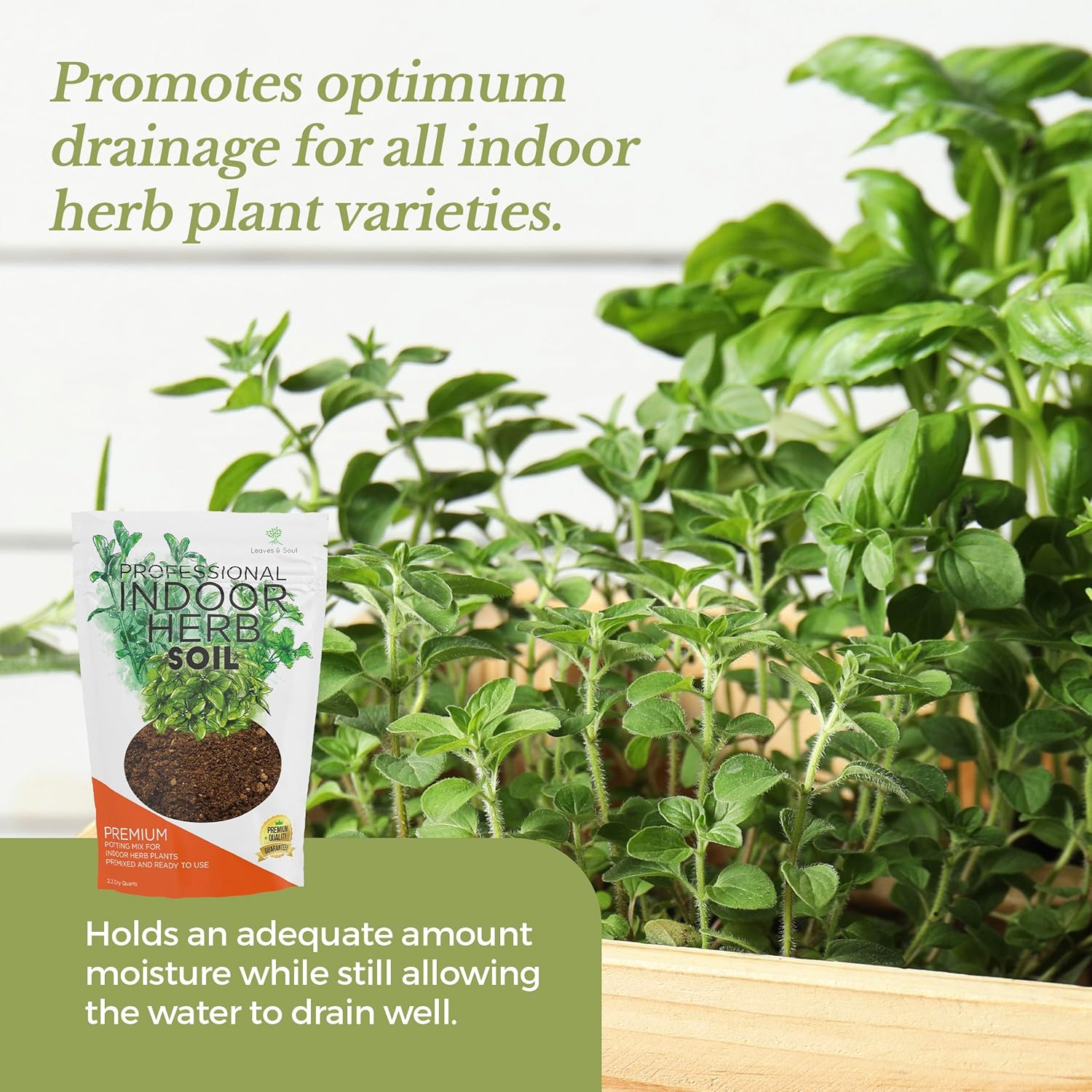 Professional Indoor Herb Plant Soil | Large 2.2 Quarts Ready to Use for Kitchen, Gardens, Cooking Herbs | Peat Moss, Coco Coir, Perlite, Dolomite | Made in USA