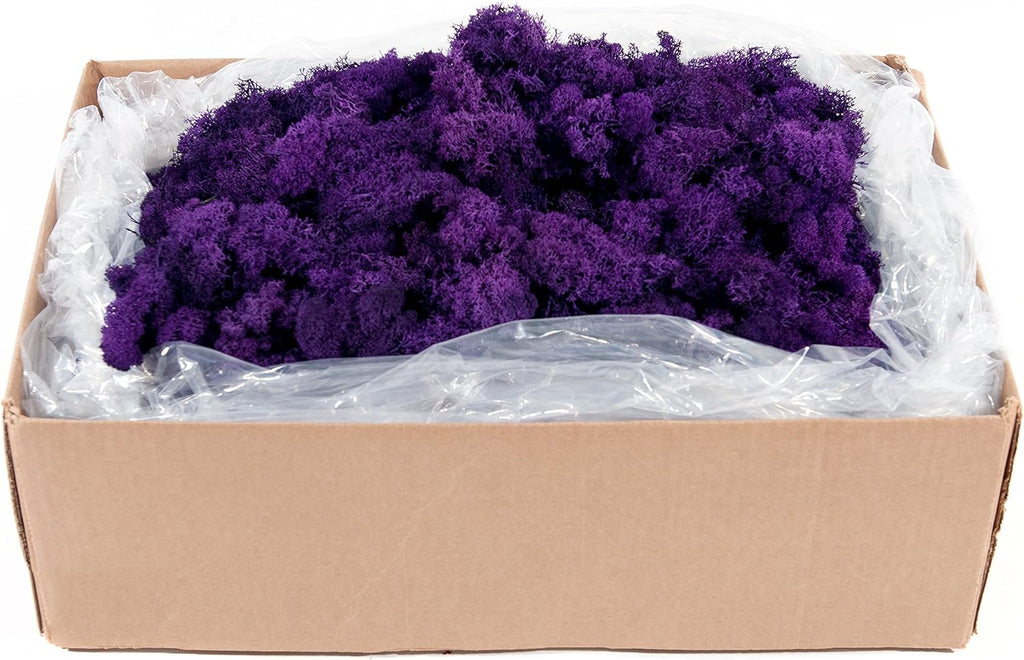 SuperMoss (21798 Reindeer Moss – Soft Preserved Moss for Home Decor, Crafts, Terrariums, Floral Design, and Wedding Decorations, 2,588 cu in, Purple
