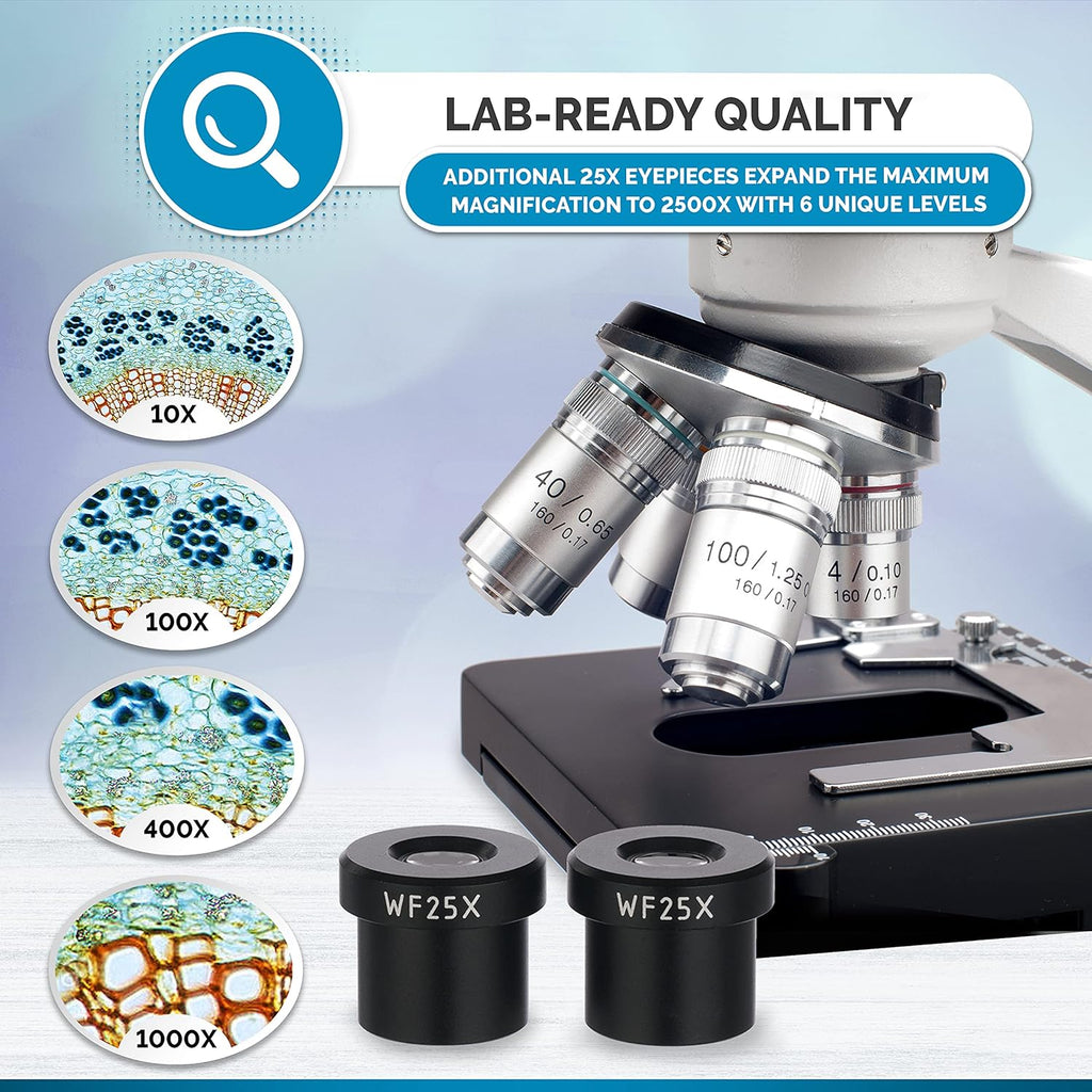 AmScope B120C Series Student & Professional LED Binocular Compound Microscope - 40X-2500X Magnification - Features Siedentopf Head & 3D Mechanical Stage