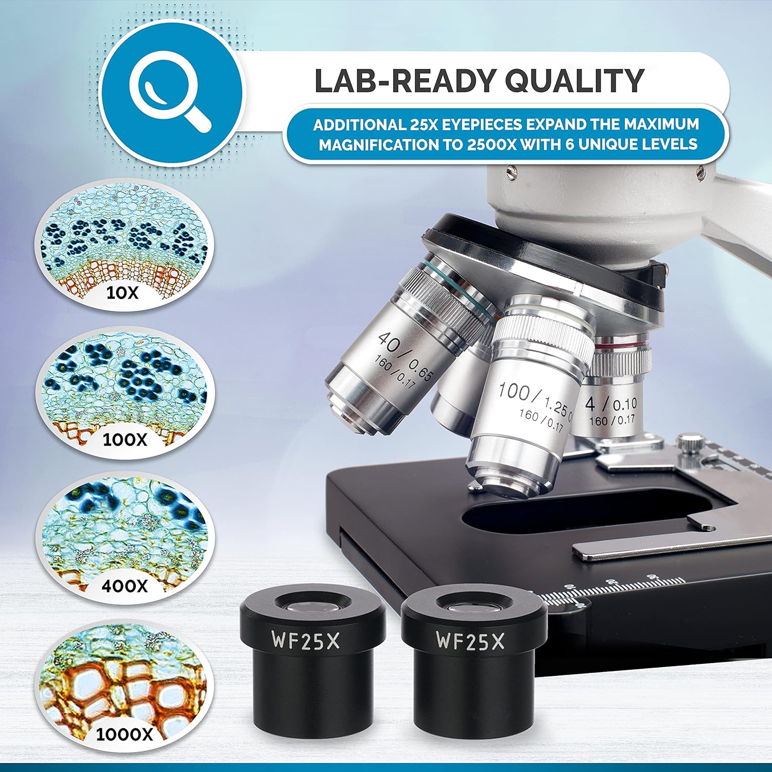 AmScope B120C Series Student & Professional LED Binocular Compound Microscope - 40X-2500X Magnification - Features Siedentopf Head & 3D Mechanical Stage