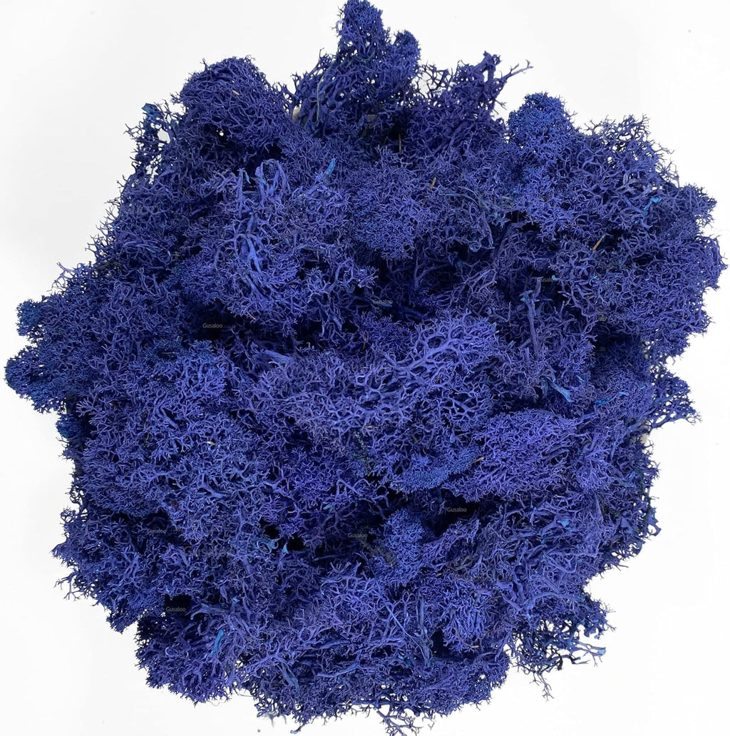 Moss Preserved Moss Natural Fresh Green Moss for Craft Arts Floral Project Wall Decor Table Decor Wedding Centerpieces Garden Artificial Terrariums Decoration - Dark Blue 3.5OZ