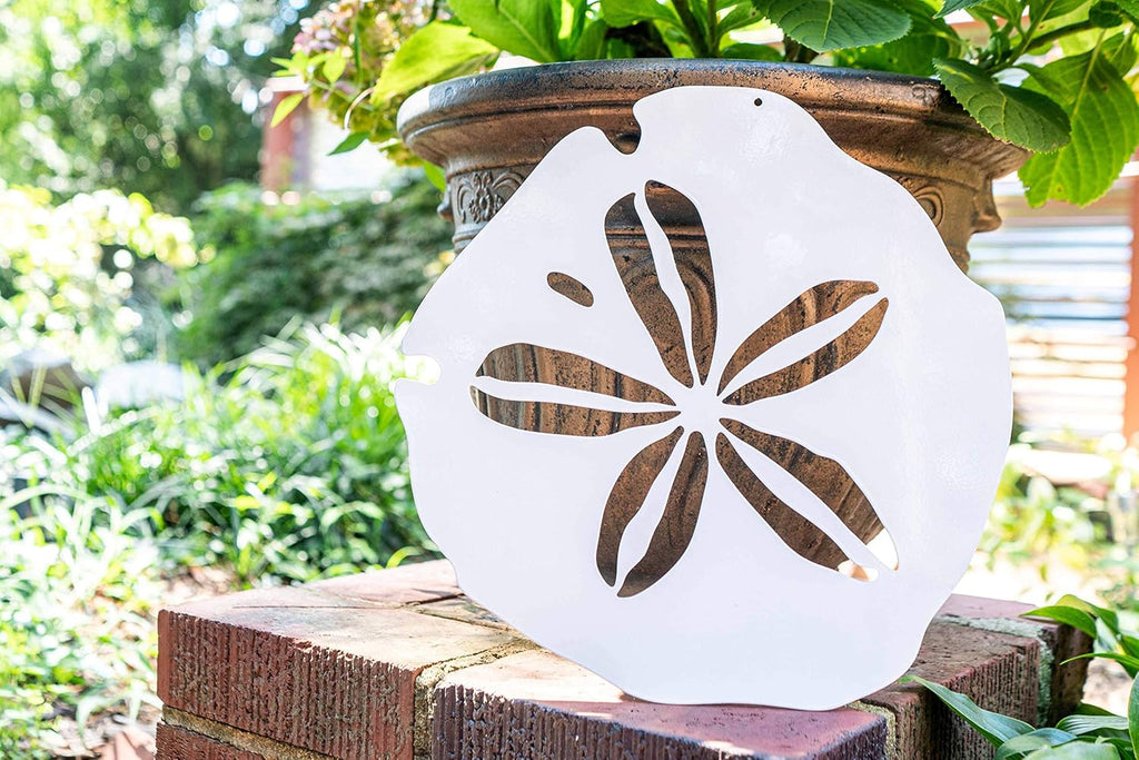 Riverside Designs Coastal Sand Dollar Ocean Beach Metal Art Steel Wall Decor (12", White)