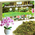Riare 7OZ Premium Sphagnum Moss for Plants- 10QT Natural Dried Plant Moss for Potted Plants, Orchid Moss for Repotting, Soft Green Decorative Moss for Succulents, Reptiles & DIY Crafts