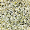 3.3LB Natural Succulent Cactus Gravel for Plants, 1/4" DIY Jade Bean Pebbles, Decorative Stones for Vase Fillers, Terrarium, Gardening, Indoor Outdoor Decor.
