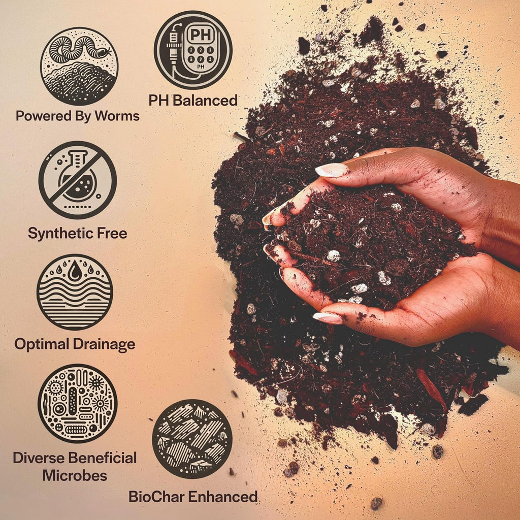 Craft Aroid Potting Mix- Elite Organic Alocasia, Philodendron, Monstera Soil Mix, Chunky, Well Draining Potting Soil for Indoor Plants, All Tropical Plants & Houseplants, Perlite & Peat Free 2QT