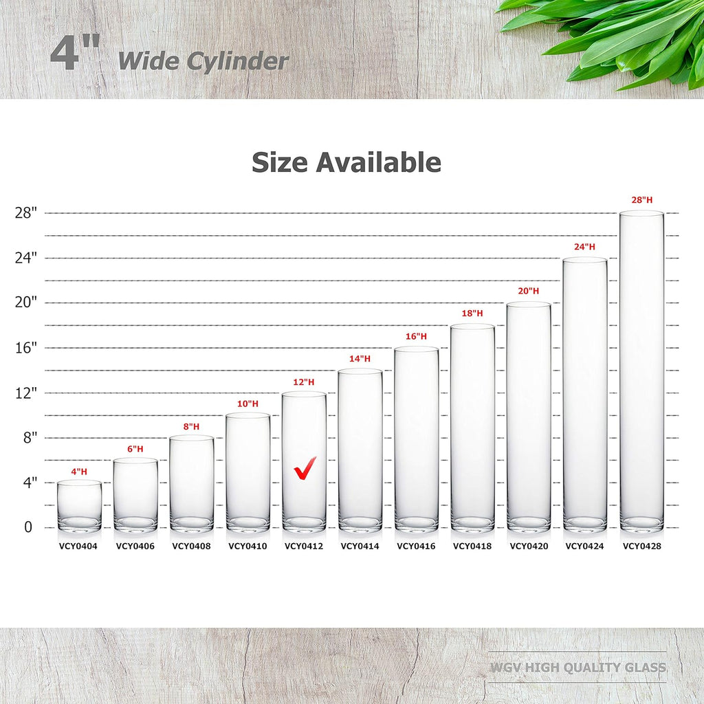 WGVI Quality Thick Weighted Clear Cylinder Glass Vases, 4" W x 12" H, Flower Arrangement Floating Candle Holders Wedding Centerpieces Terrarium Planter Floral Storage Container, Bulk Wholesale, 6 Pcs