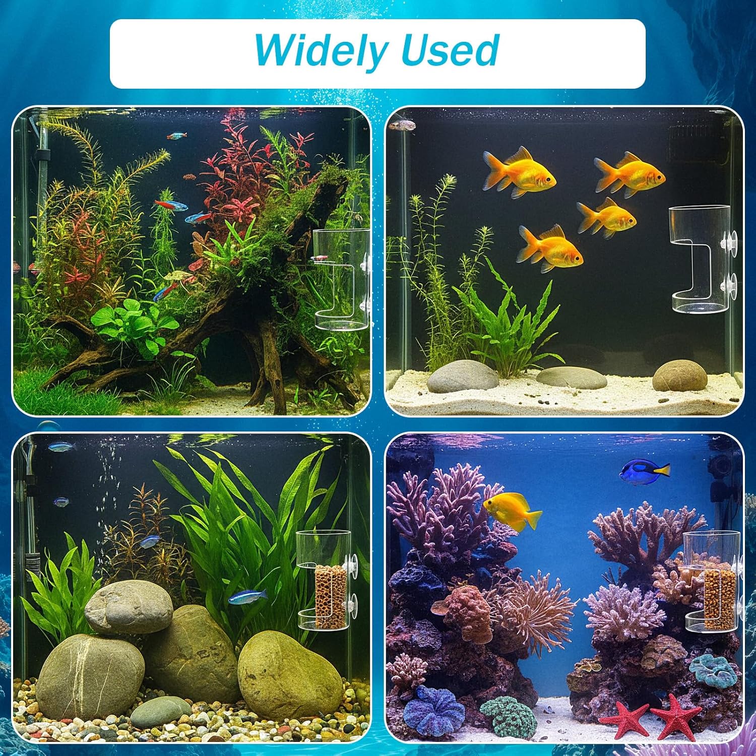 2PCS Fish Tank Feeding Tray, Fish Food Feeder with Suction Cup, Clear Aquarium Feeders, Cylindrical Fishes-Feeder, Round Aquariums & Fish-Bowls Accessories