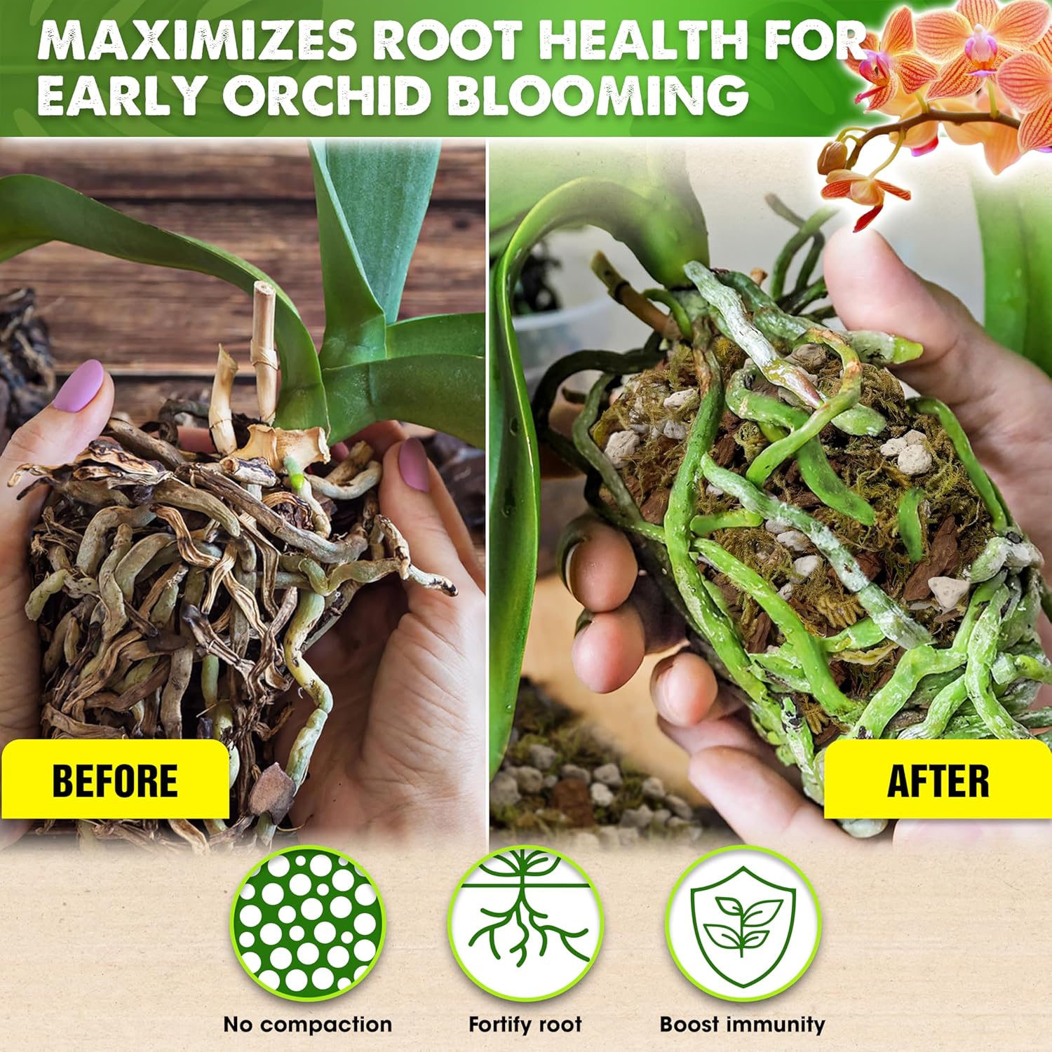 [Upgraded] DUSPRO Orchid Potting Mix for Repotting with Forest Moss, Pine Bark, Perlite & Pumice Natural Ingredients, Orchid Bark Potting Mix, Orchid Repotting Kit Drainage Indoor Potting Medium 2QT