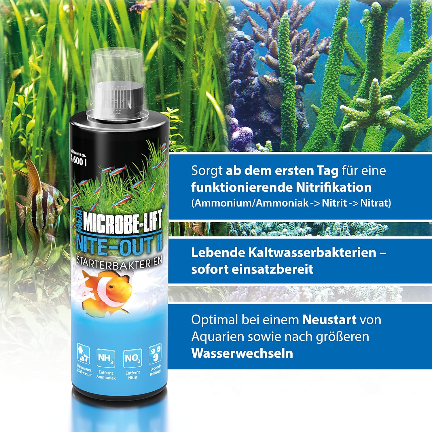 Microbe-Lift Nite-Out II Aquarium Bacteria for Start-up, Instantly Cycle Aquariums, Add Fish on Day 1, Rapid Ammonia and Nitrite Reducer for Freshwater & Saltwater Fish Tank, 64 Ounces (NITEH64)