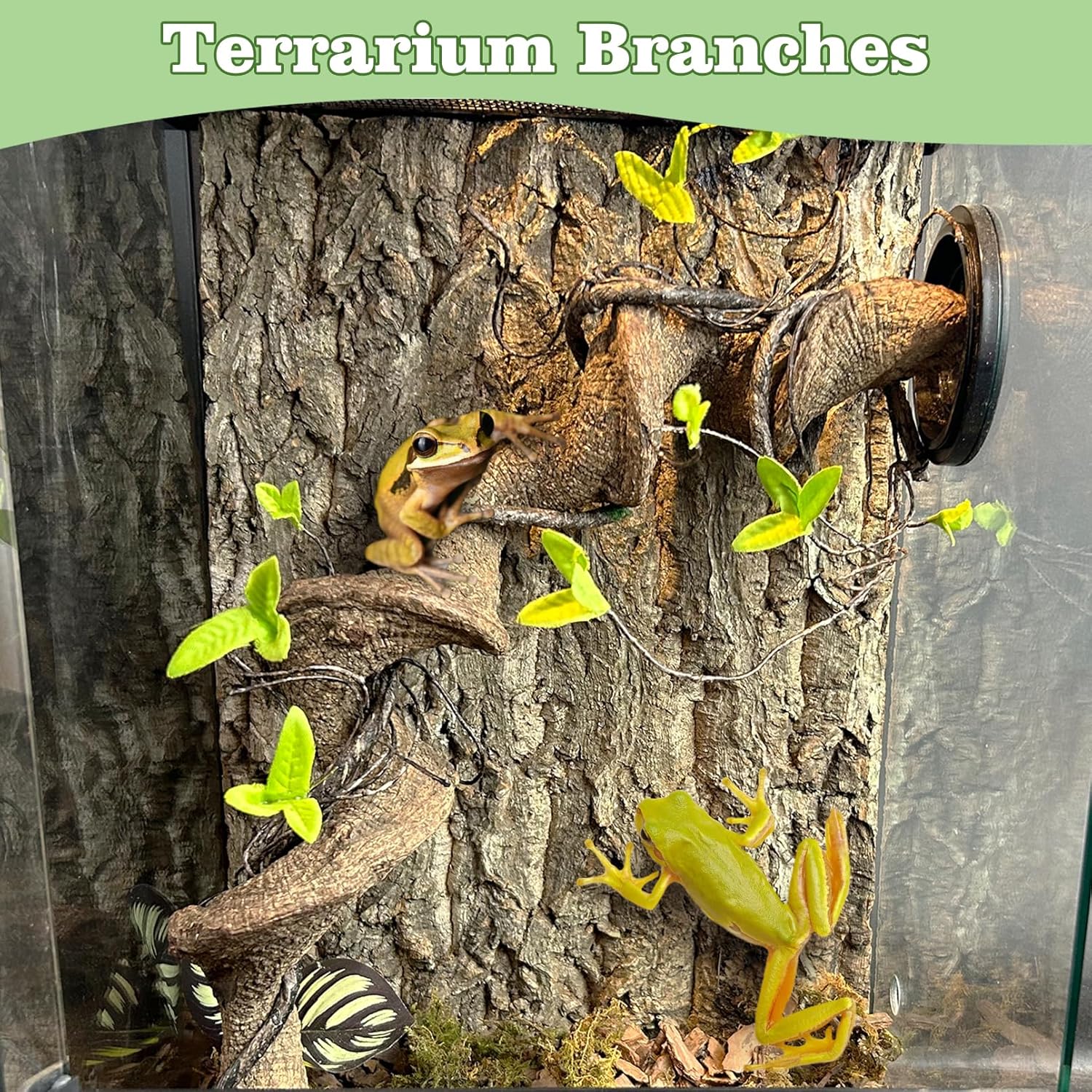 Reptile Climbing Decor 2 Pack Thick Wood Branches Snake Habitat Decorations Terrarium Wooden Tree Trunk Ornament for Bearded Dragon Lizard Snake Geckos Chameleon Frog