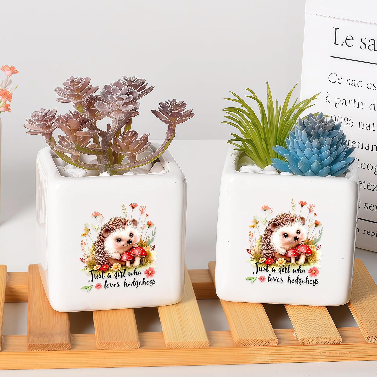 Hedgehog Succulent Planter Flower Plant Pot Small, Gifts for Women Teens Girls Kids, Hedgehog Lovers Themed Stuff Accessories Things Decor Merch, Home Office Table Desk Decoration!