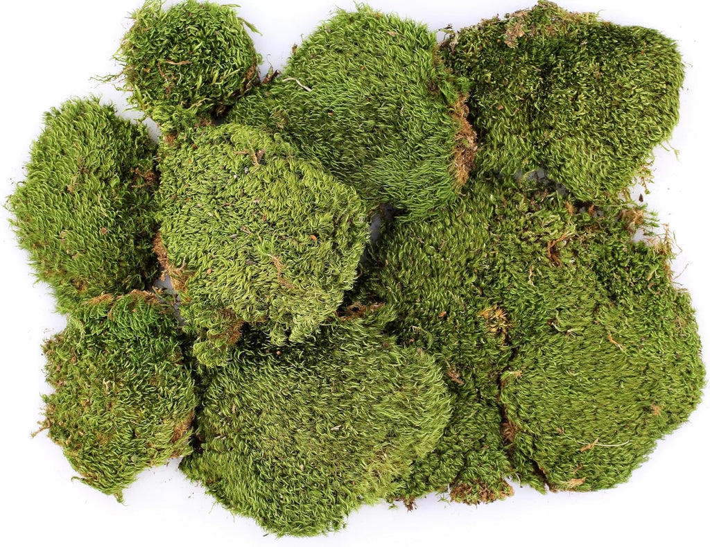 SuperMoss (21537) Mood Moss – Natural Moss for Home Decor, Terrariums, Floral Arrangements, and Craft Projects, 1,564 cu in, Dried