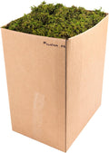 SuperMoss (23806) Mountain Moss – Natural Green Sphagnum Moss for Soil Top Dressing, Potting Mix, Garden Decor, and Craft Projects, 2,588 cu in, Preserved