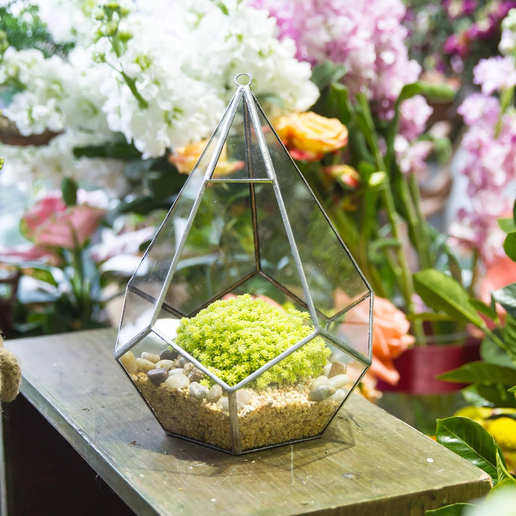 NCYP Silver Hanging Glass Geometric Terrarium, 6.8 x 6.8 x 8.6 Inches Teardrops Shape Display Planter for Succulent Air Plants, Indoor Decor Flower Holder, Handmade (NO Plants)
