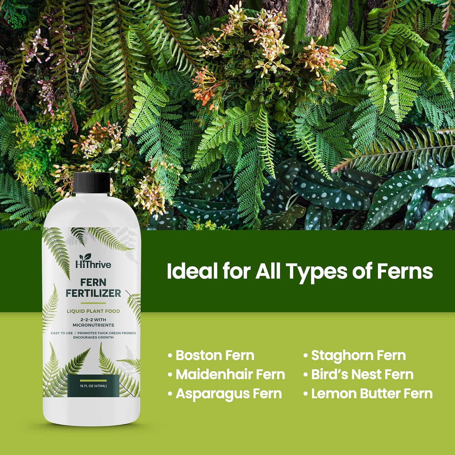 16oz Fern Fertilizer for Live Ferns - Makes 32 Gallons of Fertilizer for Ferns, Indoor Plant Food for Greener Growth and Dense, Resilient Fronds with Intricate Texture - Ideal for All Fern Plant Live