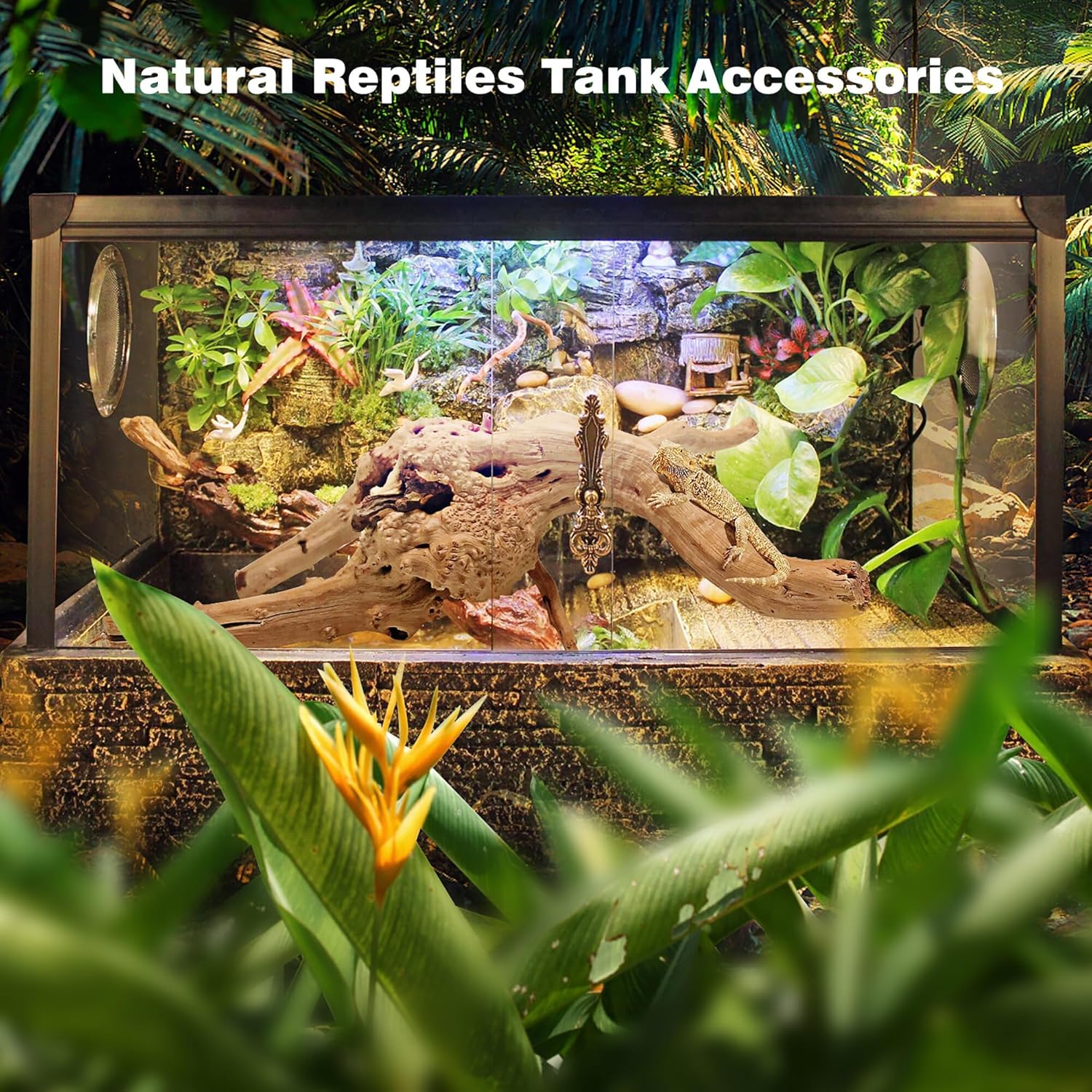 WDEFUN Natural Spiderwood for Aquarium Decor 3-Piece 7''-11'' Long Natural Driftwood Branches for Fish Tank Decorations