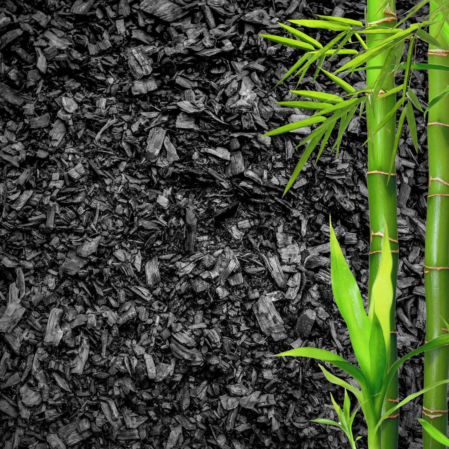 Horticultural Charcoal for Plants – Organic Bio Char Soil Amendment for Terrariums, Indoor Plants & Gardening, Made in USA (20 quarts)