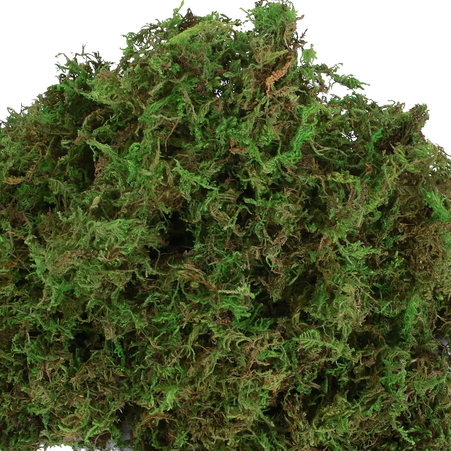 Artificial Moss for Indoor Plants, 16OZ Fake Moss for Crafts, Decorative Centerpieces, Fairy Garden, Wedding Party Decor, Faux Potted Plants, 455gr (Natural Green)