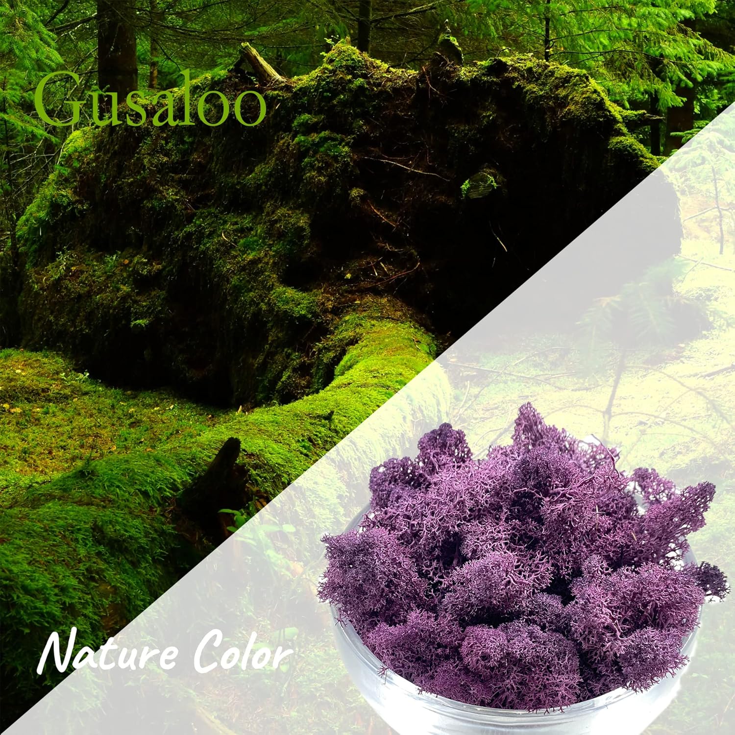 Moss Preserved Moss Natural Fresh Green Moss for Craft Arts Floral Project Wall Decor Table Decor Wedding Centerpieces Garden Artificial Terrariums Decoration- Purple 3.5OZ