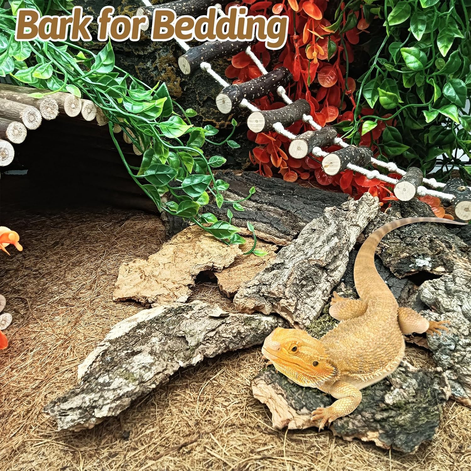 BNOSDM Reptile Cork Bark Substrate 16oz Tortoise Bedding for Habitat Natural Flat Cork Wood Bulk Terrarium Reusable Champagne Bark for Lizard, Crested Gecko, Spider, Chameleon, Ball Python, Tree Frog