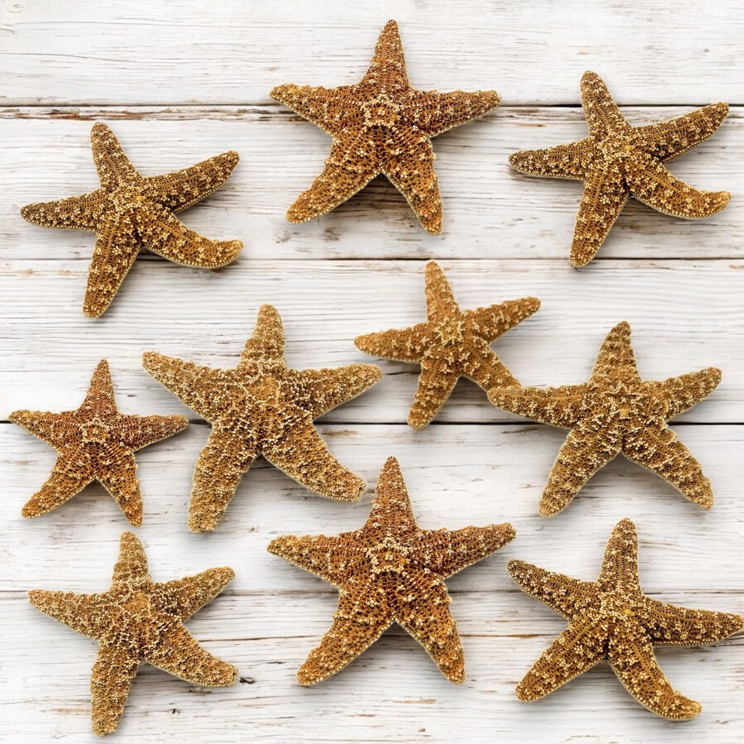 Tumbler Home Real Starfish Décor - 10pcs - 4" - 6" Large Starfish for Crafts, Beach House Décor, Chirstmas Ornaments & Nautical Decorations