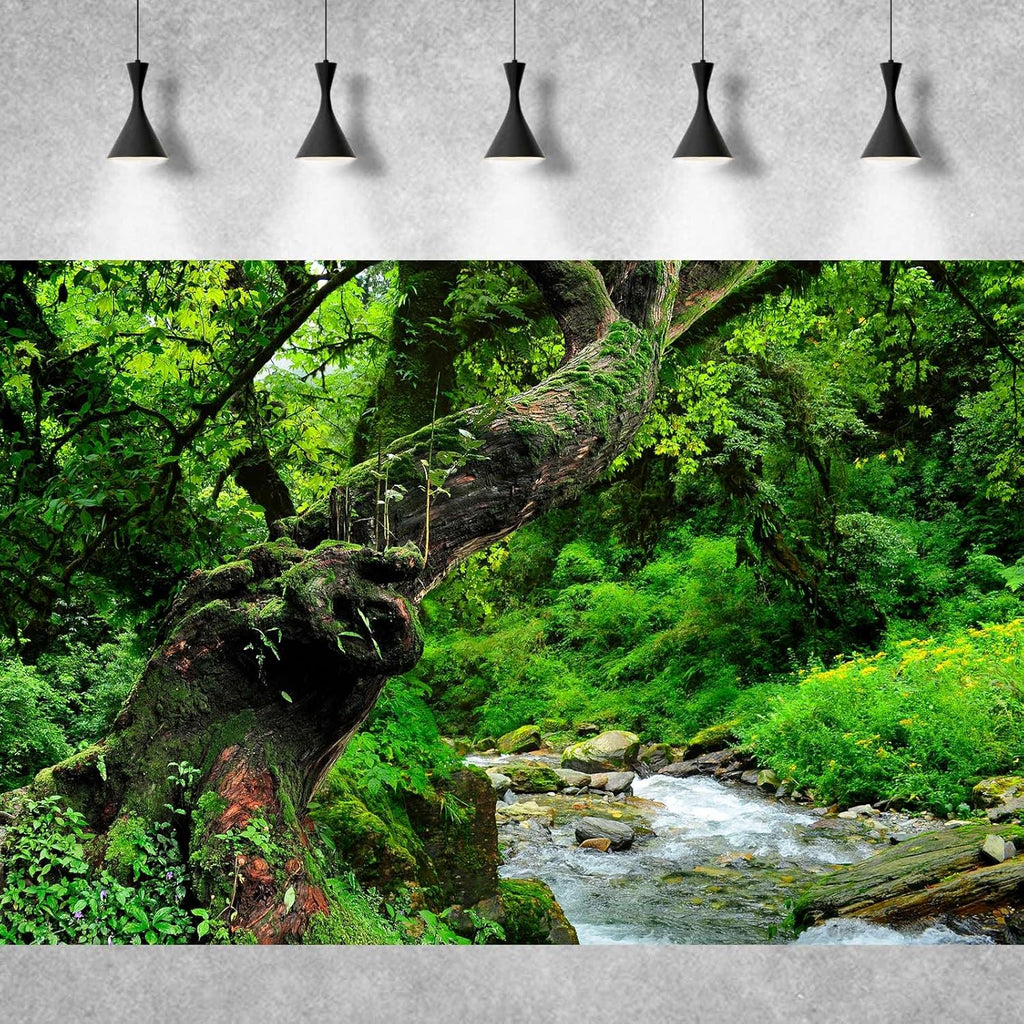 Jungle Rainforest Aquarium Background Lush Green Old Trees Stream Terrarium Background Rock River Forest Natural Landscape Fish Tank Background Jungle Style Reptile Habitat Background 30x12in