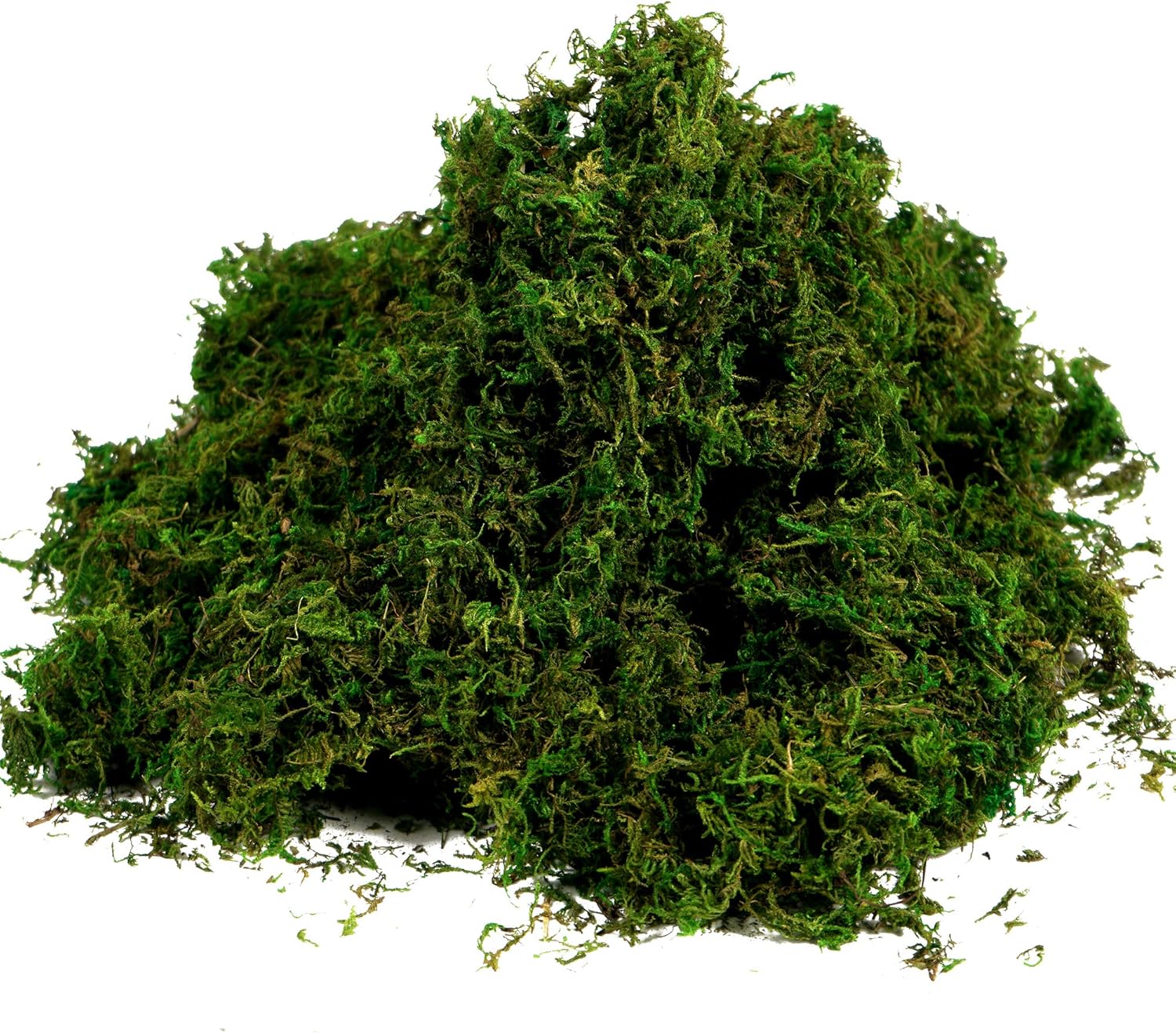 BYHER Artificial Moss Fake Green Grass for Centerpieces Home Kitchen Garden Decor (3.5OZ, Fresh)