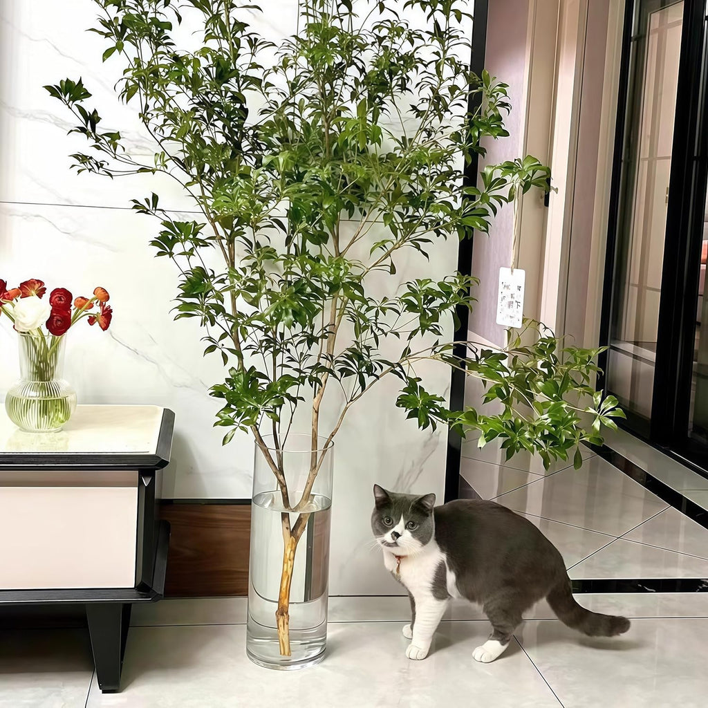 Extra Large Acrylic Cylinder Clear Vase for Floor, 20 in Tall Big Wide Mouth Plastic Unbreakable Hurricane Flower Vases of 3 for Home Decor (D 8", D 6", D 4.8" + 3 Holder)