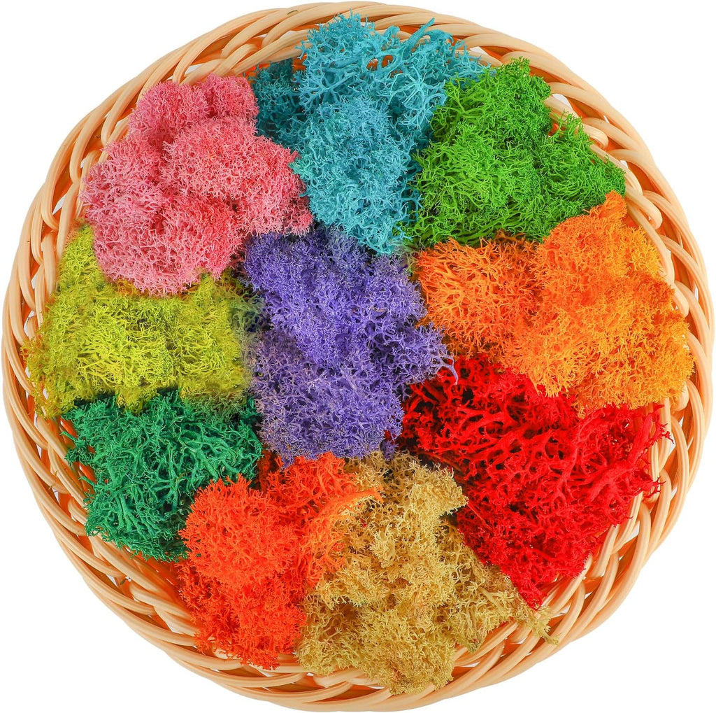 CCINEE 7 oz Mixed Color Reindeer Lichen, 10 Colors 0.7 oz Each Preserved Nordic Dried Floral Forest Lichen for Fairy Gardens Gift Packing Dressing Potted Flower Arrangement Craft Project Lichen Wall