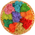 CCINEE 7 oz Mixed Color Reindeer Lichen, 10 Colors 0.7 oz Each Preserved Nordic Dried Floral Forest Lichen for Fairy Gardens Gift Packing Dressing Potted Flower Arrangement Craft Project Lichen Wall