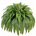 Artificial Ferns for Outdoors Large, 50" Fake Fern with Fruitlet & Vines, 98 Fronds Lifelike UV Resistant Faux Greenery Plants Ideal for Planters Porch Garden Hall Home Indoor Decor, Hanging or Potted