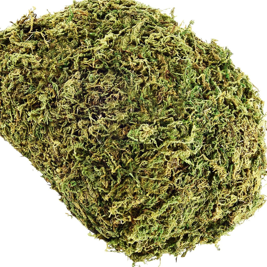 10.2 OZ Fake Moss for Potted Plants Artificial Moss for Fake Plants Faux Moss for Planters Decorative Moss for Craft