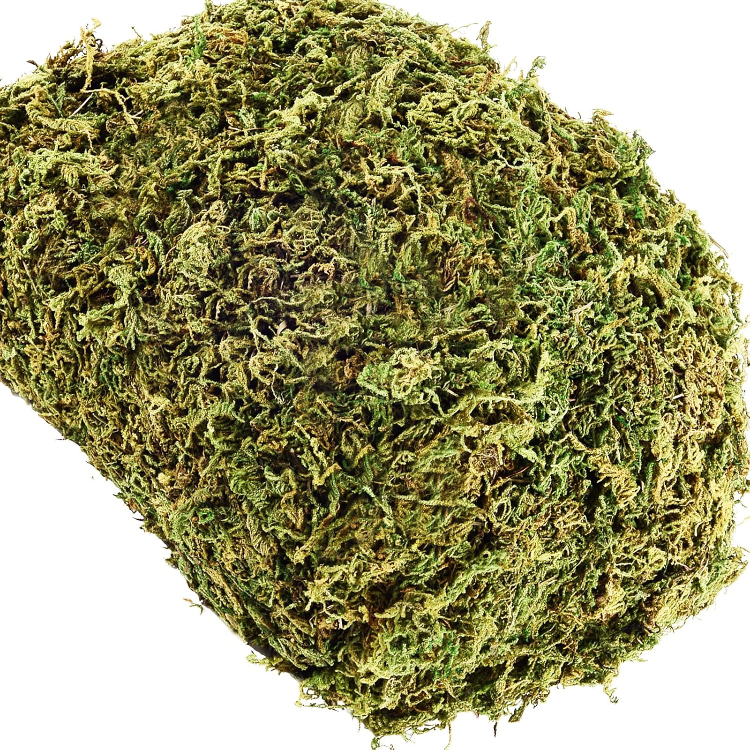 10.2 OZ Fake Moss for Potted Plants Artificial Moss for Fake Plants Faux Moss for Planters Decorative Moss for Craft