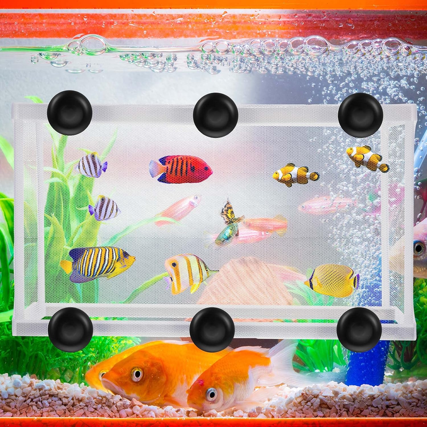2 Pieces Fish Tank Breeder Net Mesh Breeder Box Fish Hatchery Isolation Separation Net Plastic Frame Fry Hatchery Incubator Mesh Breeding Box with Suction Cup for Aquarium